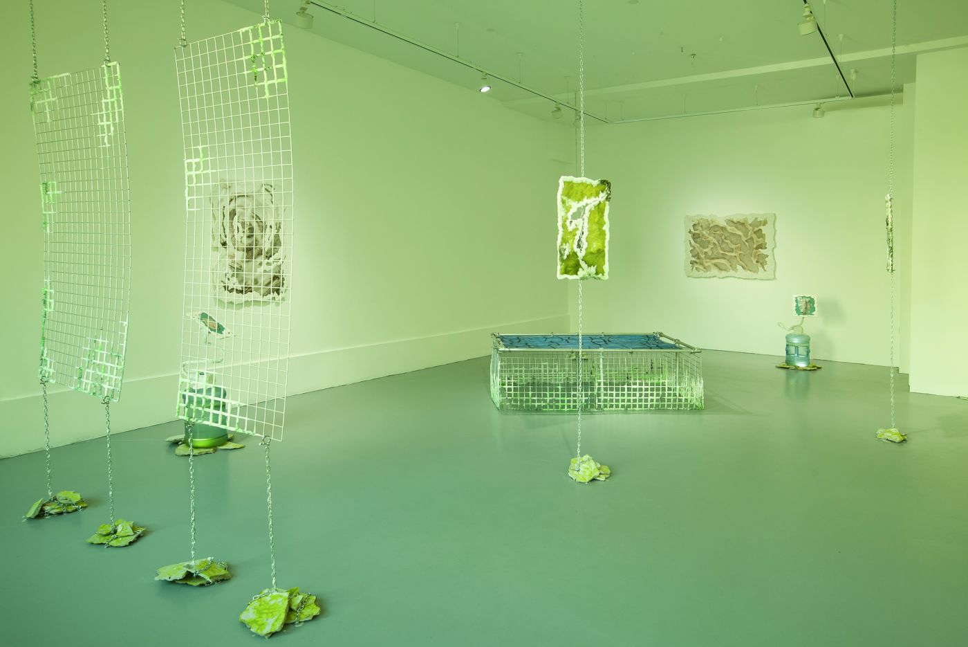 Web installation view Waters of Hypoxic Slime and Tropic Lime Kristina Ollek Kogo gallery 2023 3
