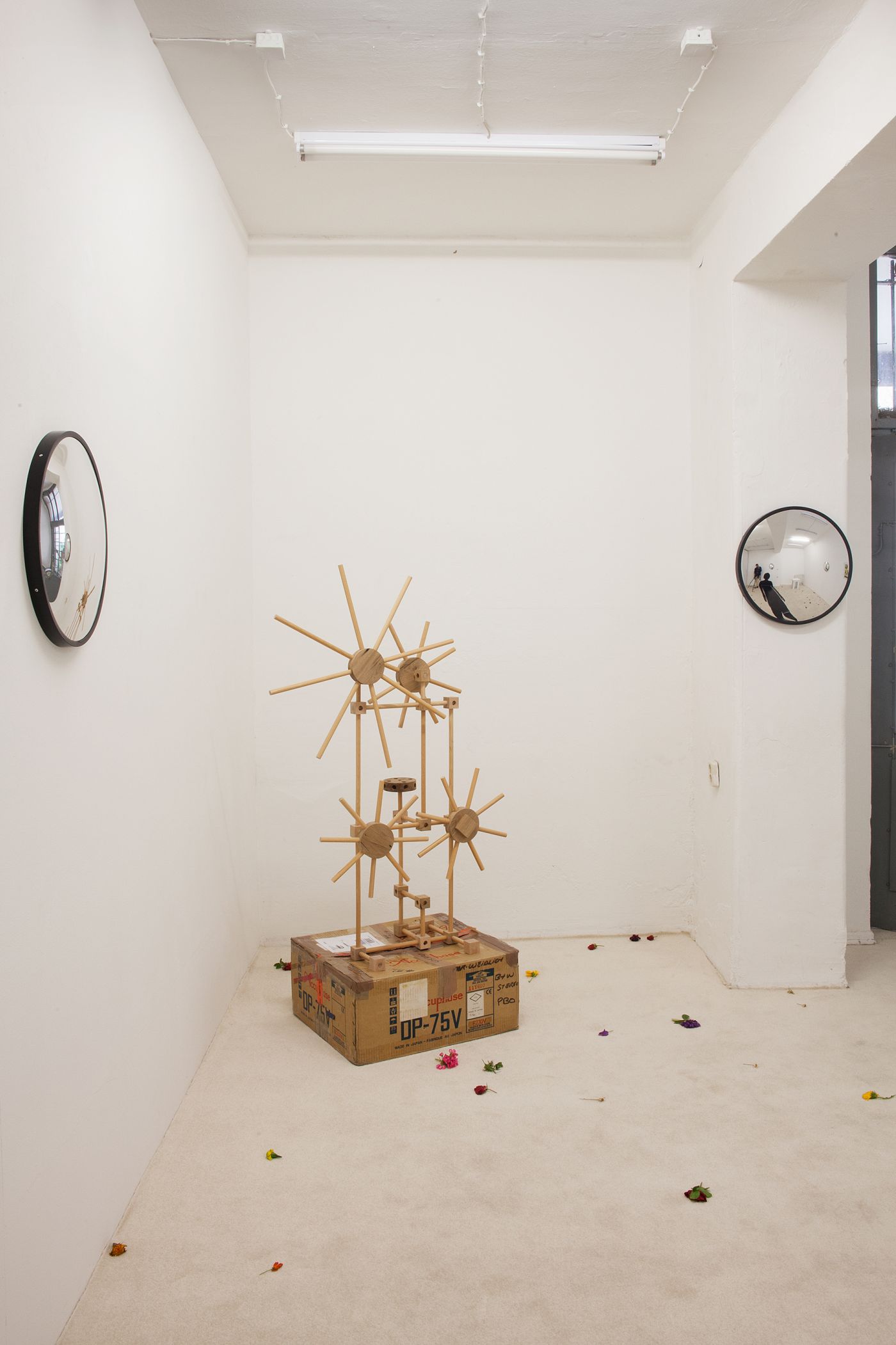 Installation view, Without the scales, Schiefe Zähne, Berlin, 2020